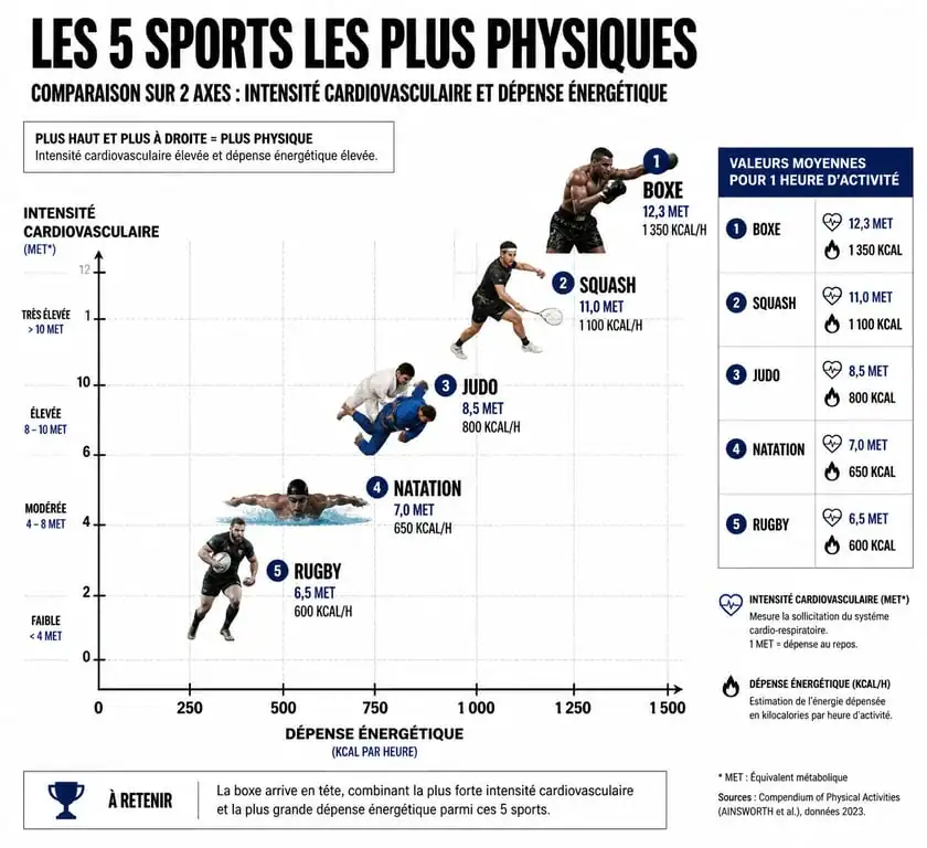 Infographie comparative des sports les plus physiques : Boxe, Squash, Judo, Natation, Rugby