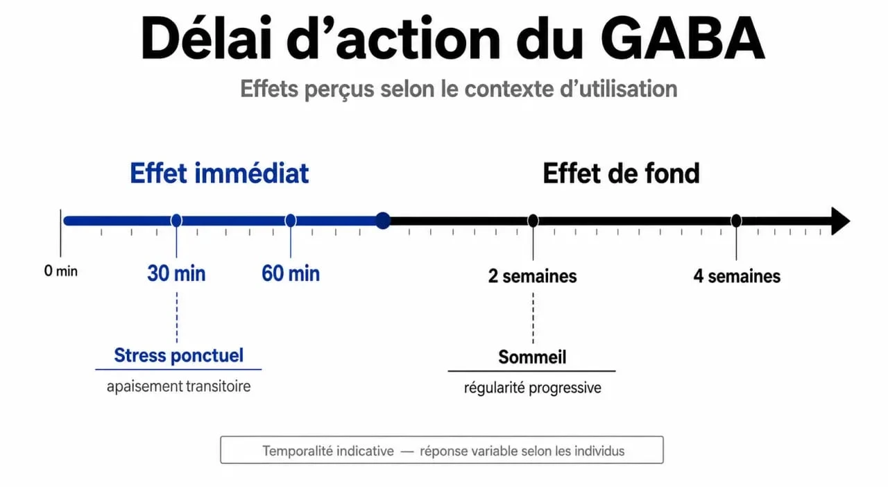 Infographie sur le délai d'action du GABA pour le stress et le sommeil
