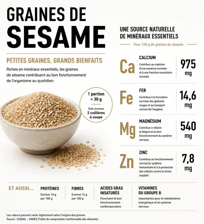 Infographie sur les bienfaits des graines de sésame et leurs apports nutritionnels en minéraux essentiels