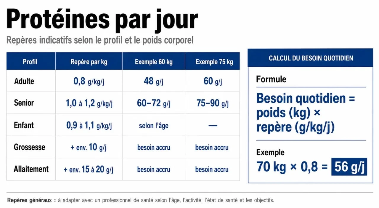 Combien de protéines par jour : repères en grammes selon le profil et le poids